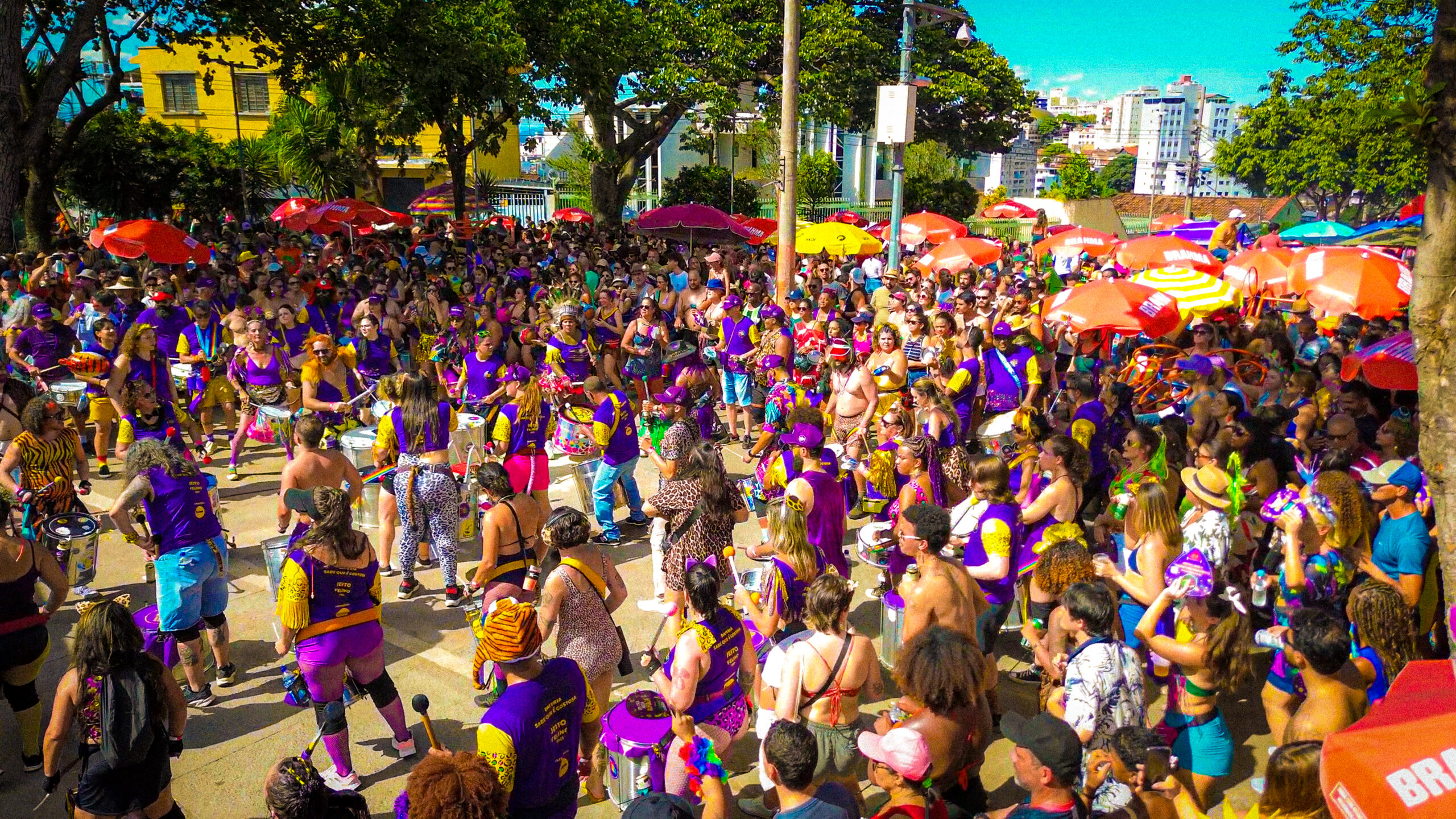 Cortejo Cheia de Manias-149