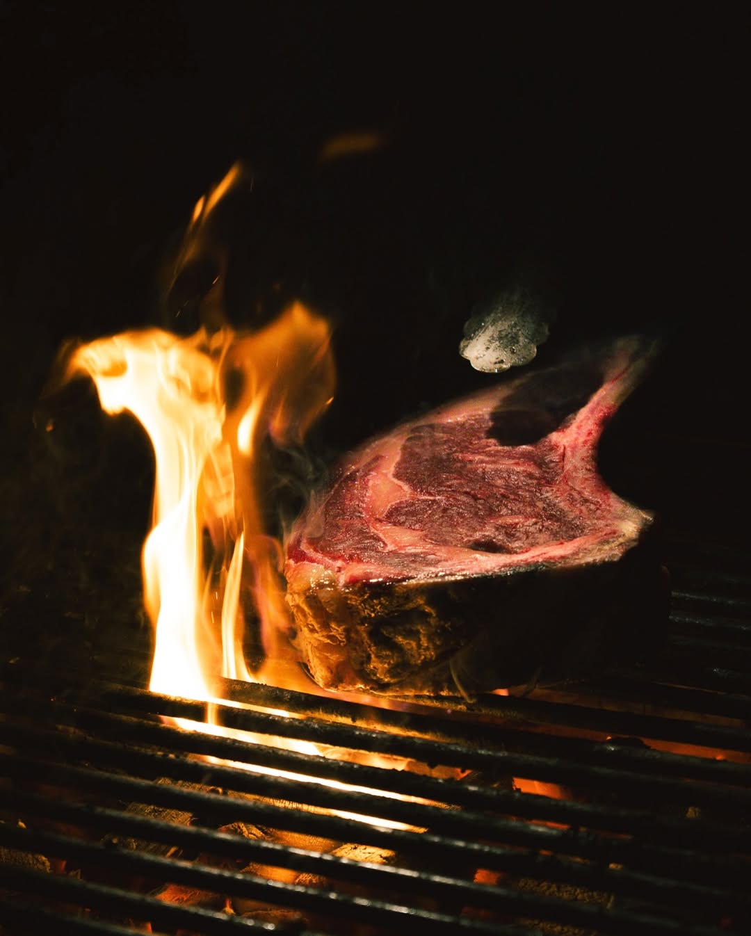 SnapInsta.to_619083161_18390085711151874_2784538355579730639_n