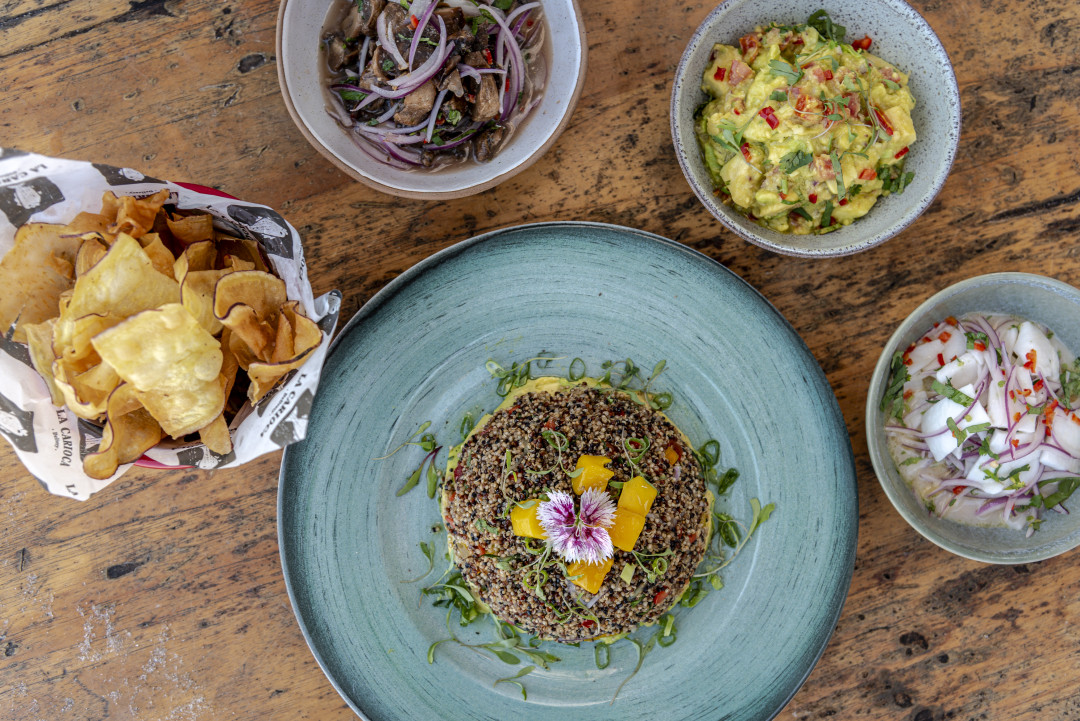 SnapInsta.to_627550822_18553867753034278_3115548450128027515_n