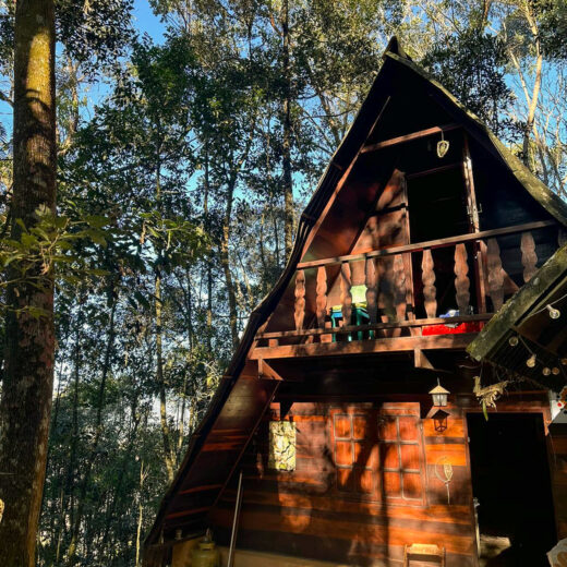 floresta4